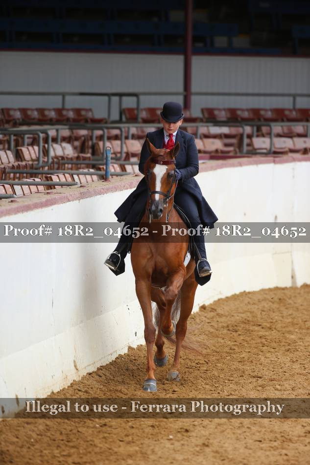 Proof 18R2_04652