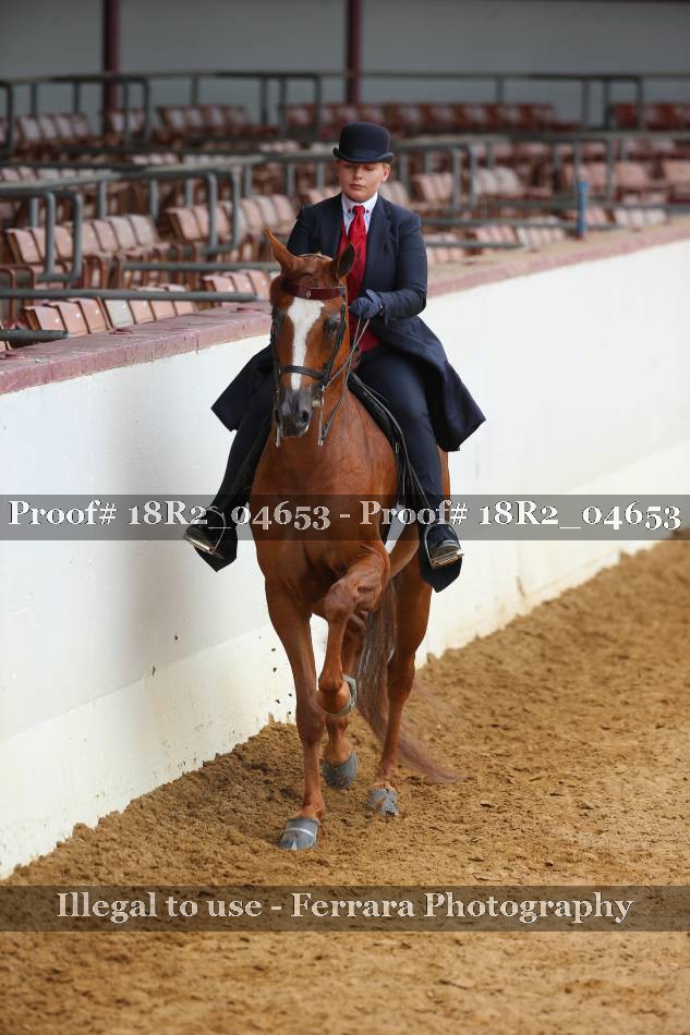 Proof 18R2_04653