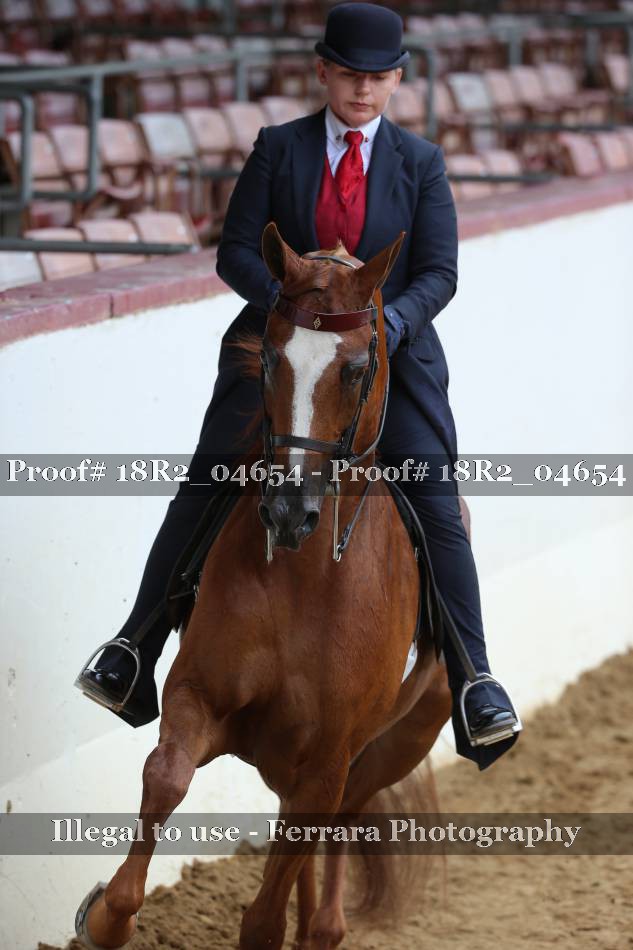 Proof 18R2_04654