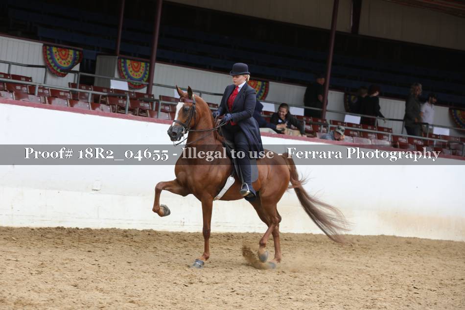 Proof 18R2_04655