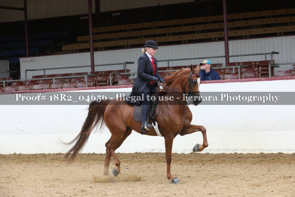 Proof 18R2_04656