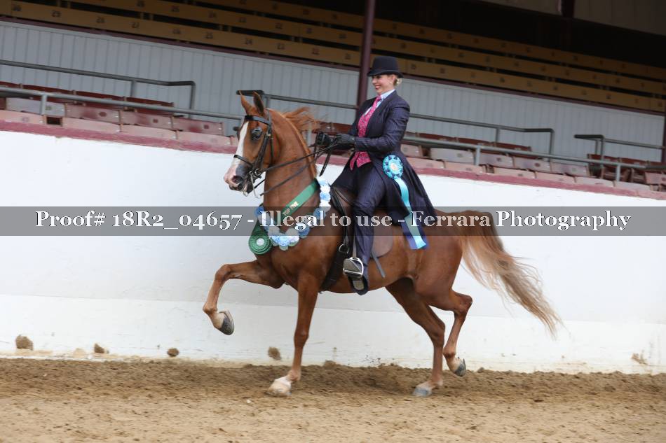 Proof 18R2_04657