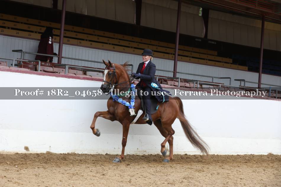 Proof 18R2_04658