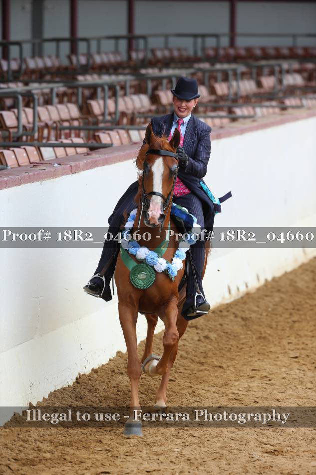 Proof 18R2_04660