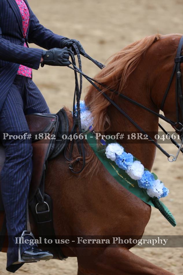 Proof 18R2_04661