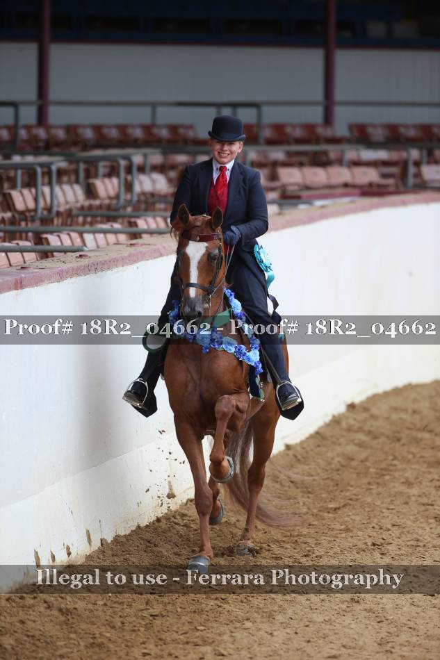Proof 18R2_04662