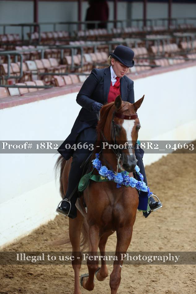 Proof 18R2_04663