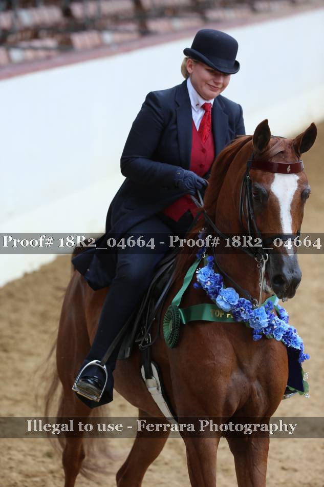 Proof 18R2_04664
