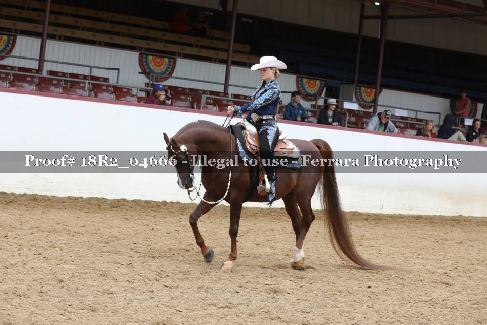 Proof 18R2_04666