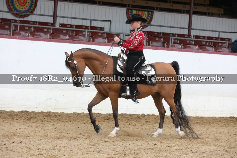 Proof 18R2_04670