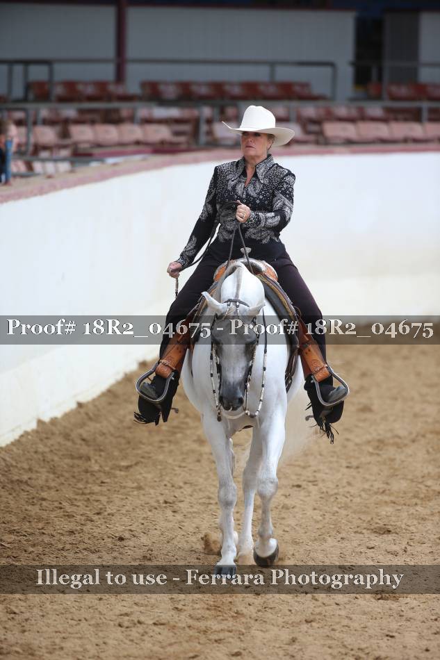Proof 18R2_04675