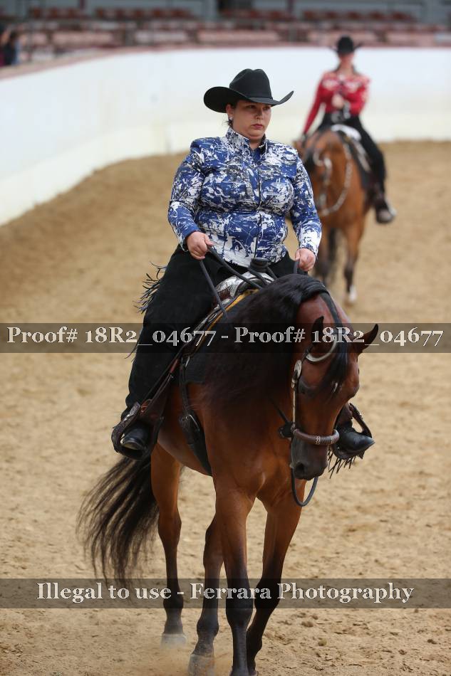 Proof 18R2_04677