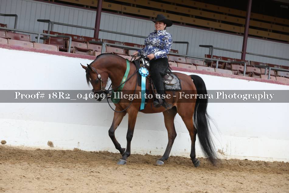 Proof 18R2_04699
