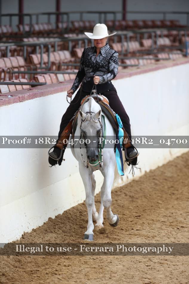 Proof 18R2_04700