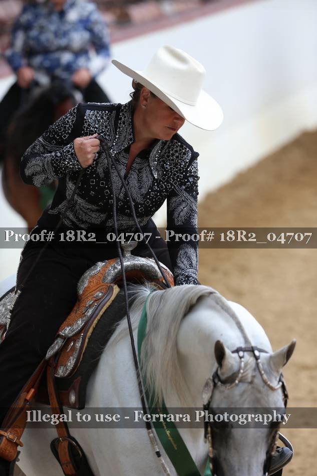 Proof 18R2_04707