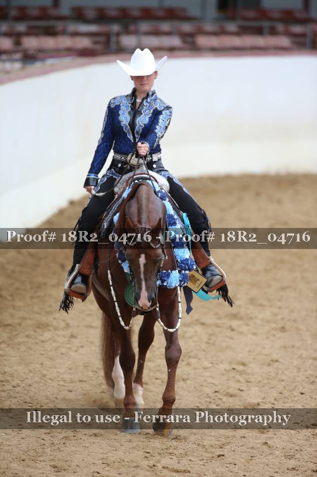 Proof 18R2_04716