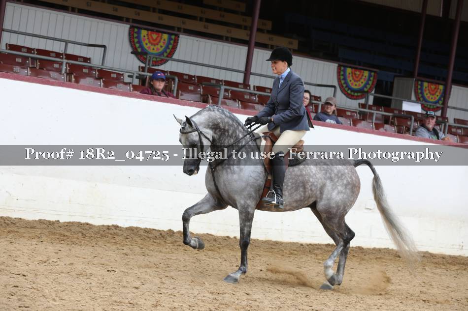 Proof 18R2_04725