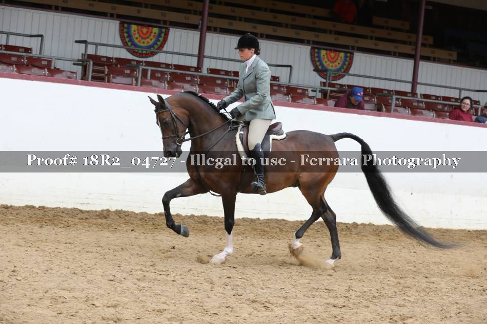 Proof 18R2_04727