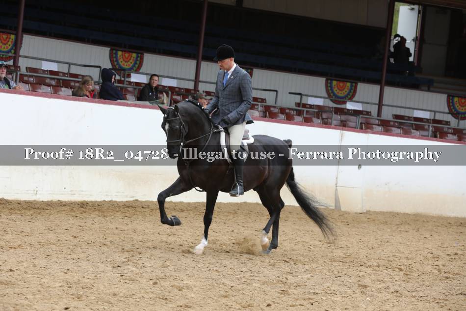 Proof 18R2_04728