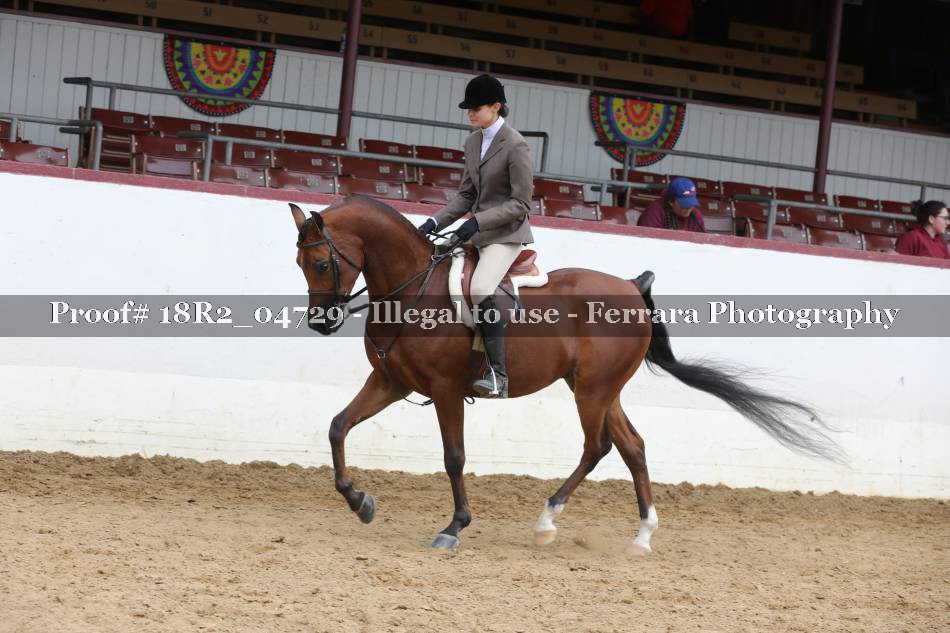 Proof 18R2_04729