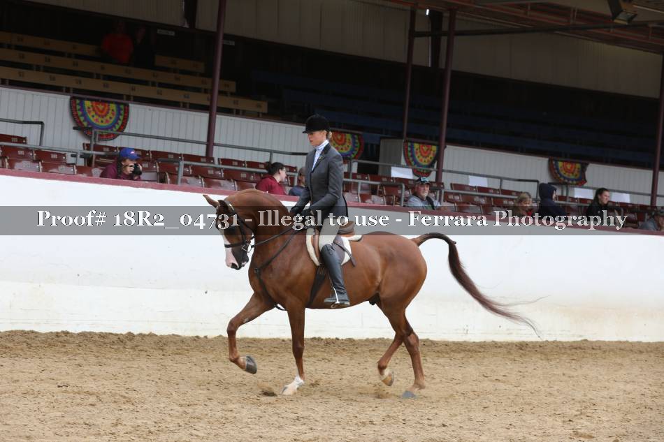 Proof 18R2_04731