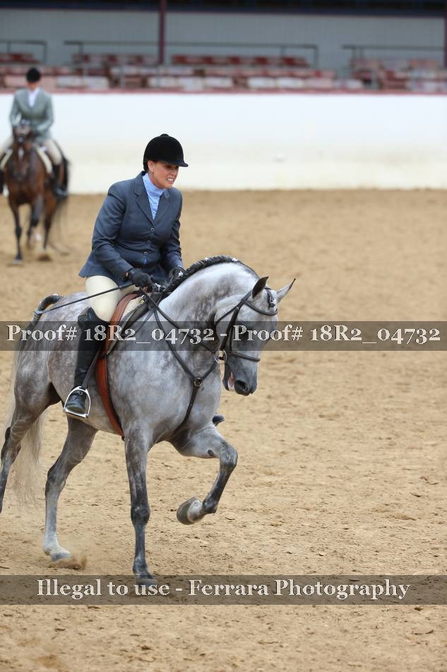 Proof 18R2_04732