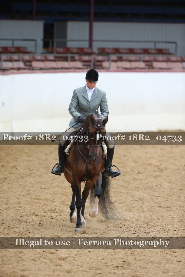 Proof 18R2_04733