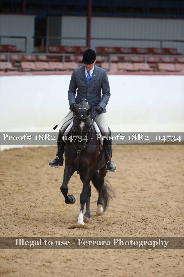Proof 18R2_04734