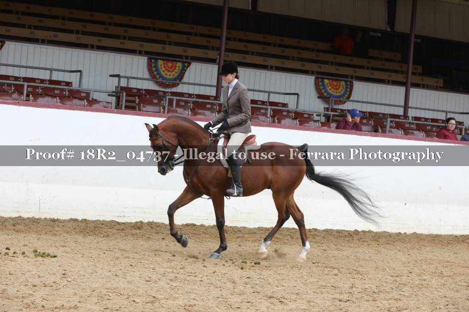 Proof 18R2_04737