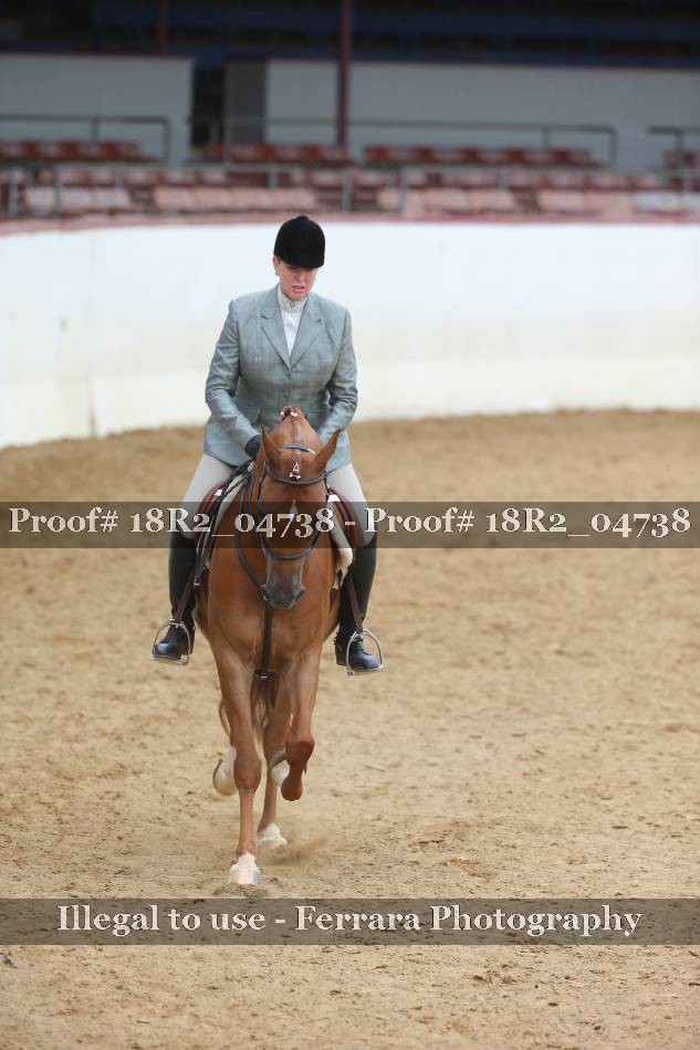 Proof 18R2_04738