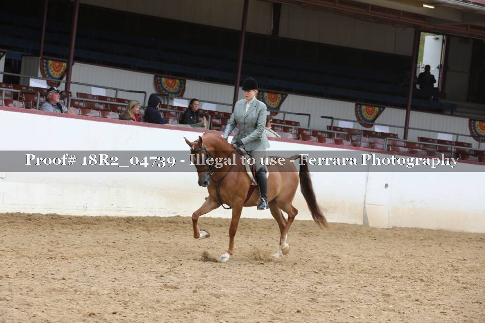 Proof 18R2_04739