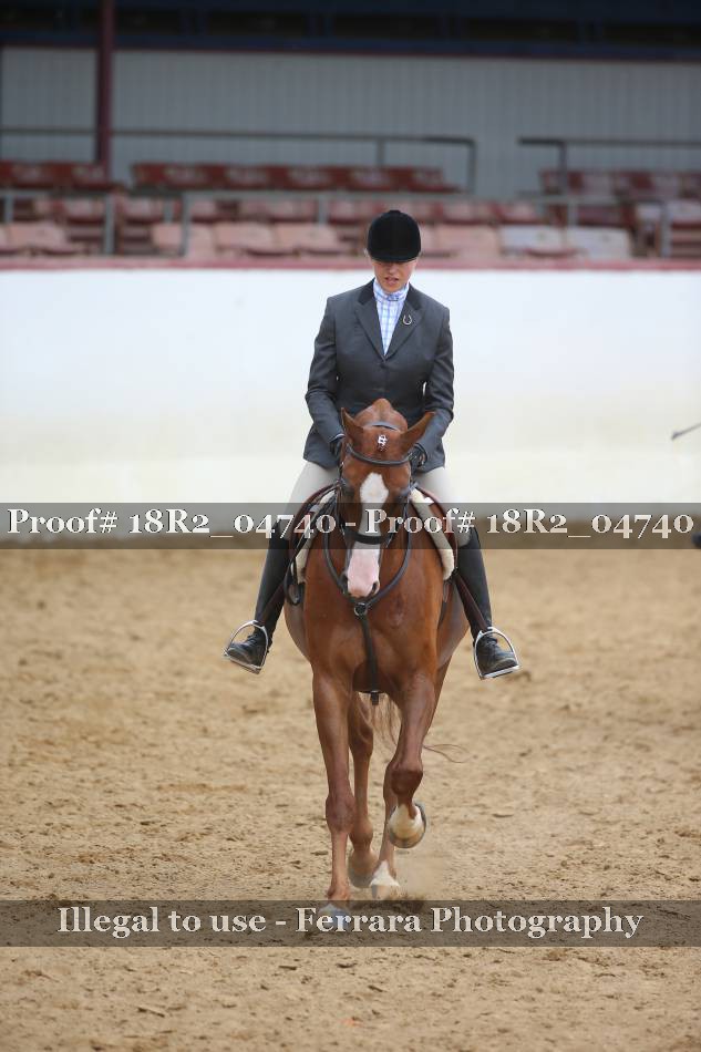 Proof 18R2_04740