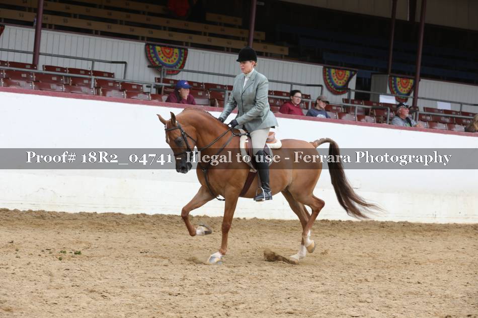 Proof 18R2_04741