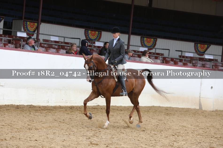 Proof 18R2_04742