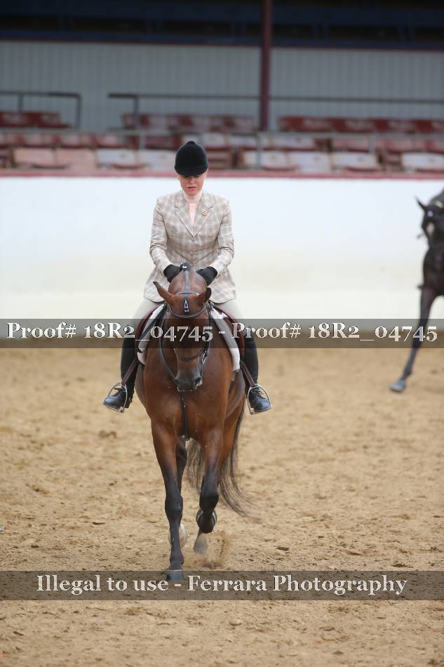 Proof 18R2_04745