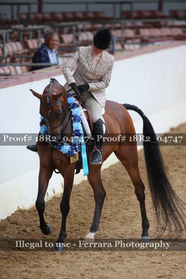 Proof 18R2_04747