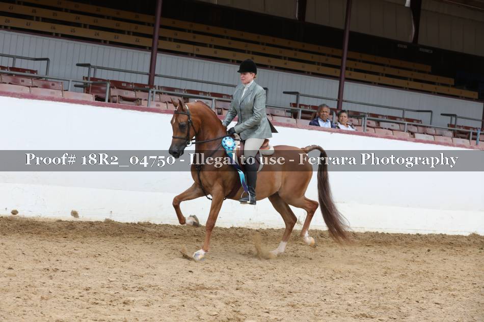 Proof 18R2_04750