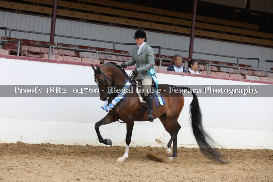Proof 18R2_04760