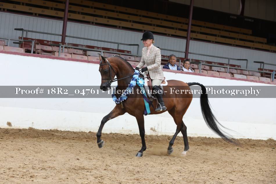 Proof 18R2_04761