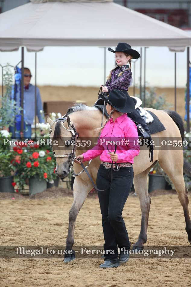 Proof 18R2_02559