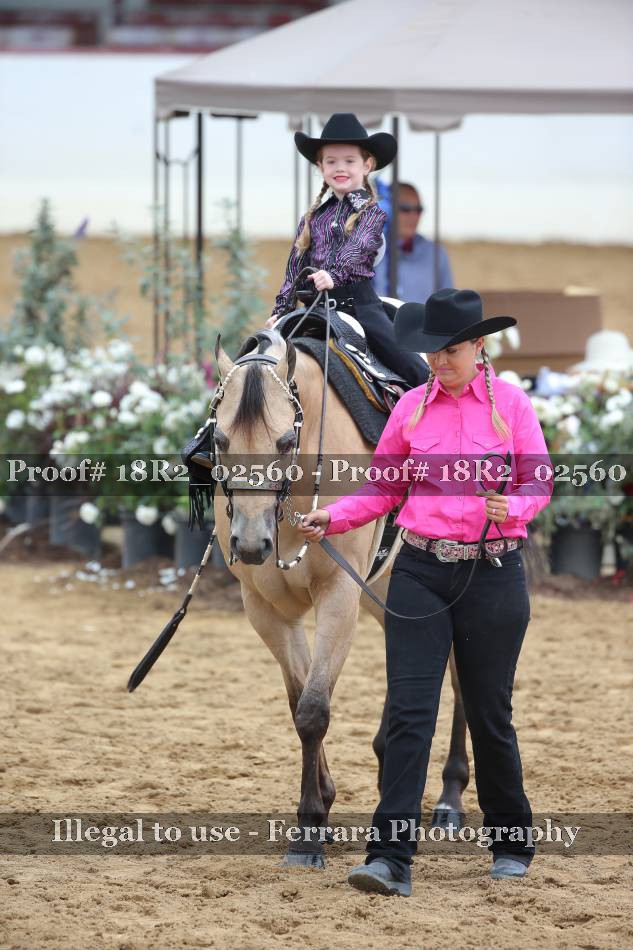 Proof 18R2_02560