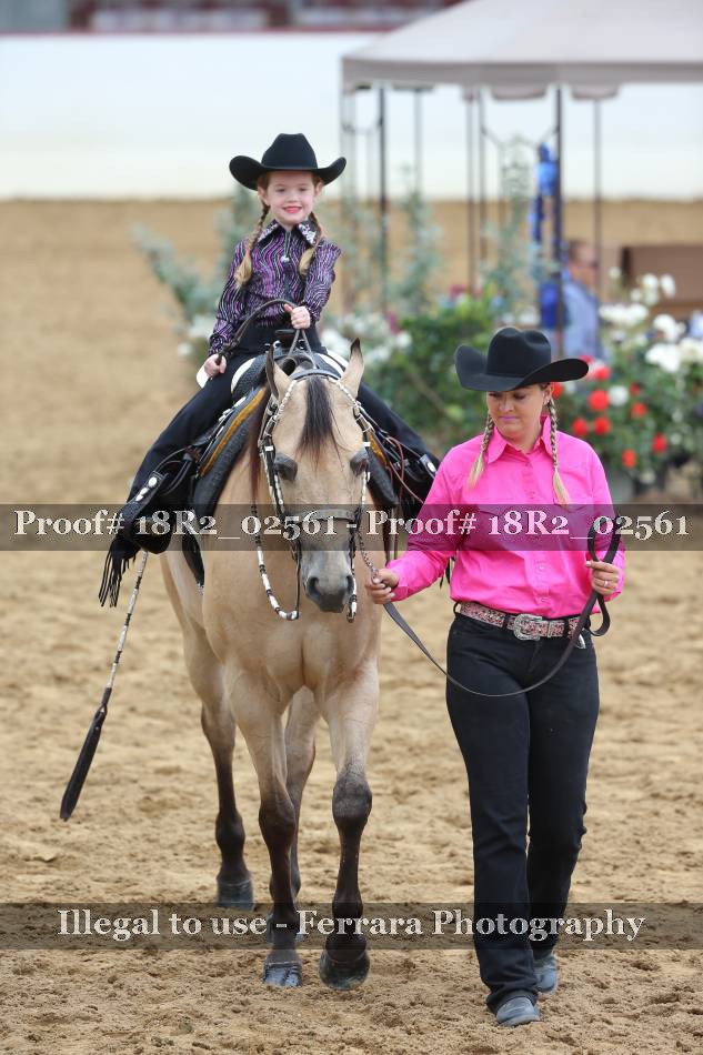 Proof 18R2_02561