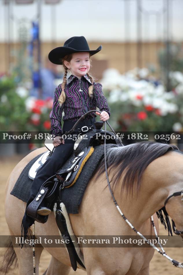 Proof 18R2_02562