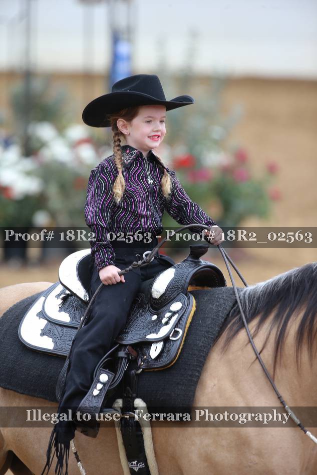 Proof 18R2_02563