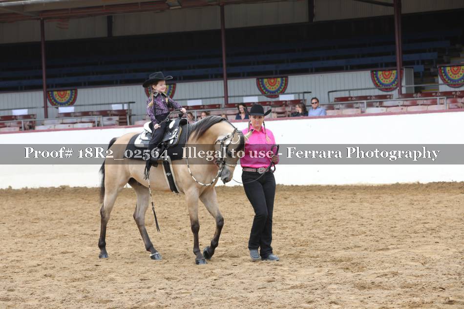 Proof 18R2_02564