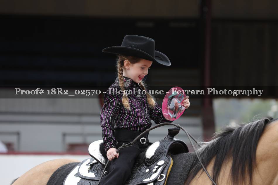 Proof 18R2_02570