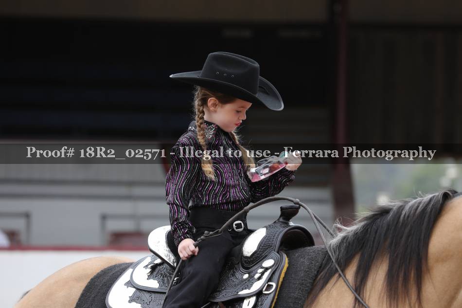 Proof 18R2_02571