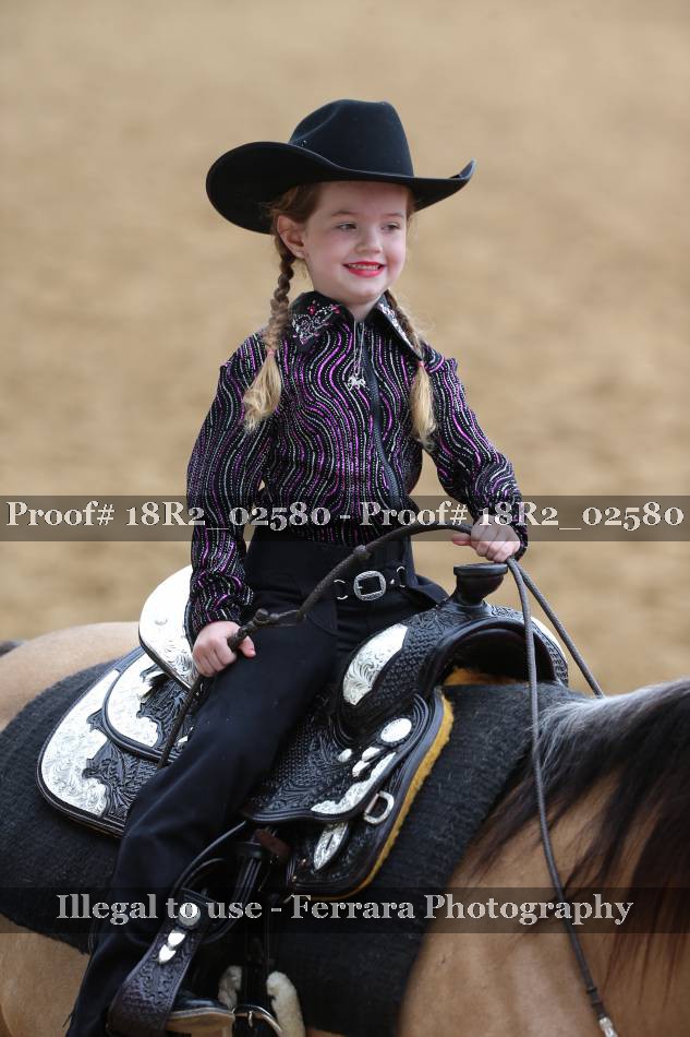 Proof 18R2_02580
