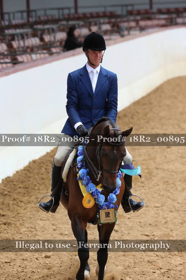Proof 18R2_00895