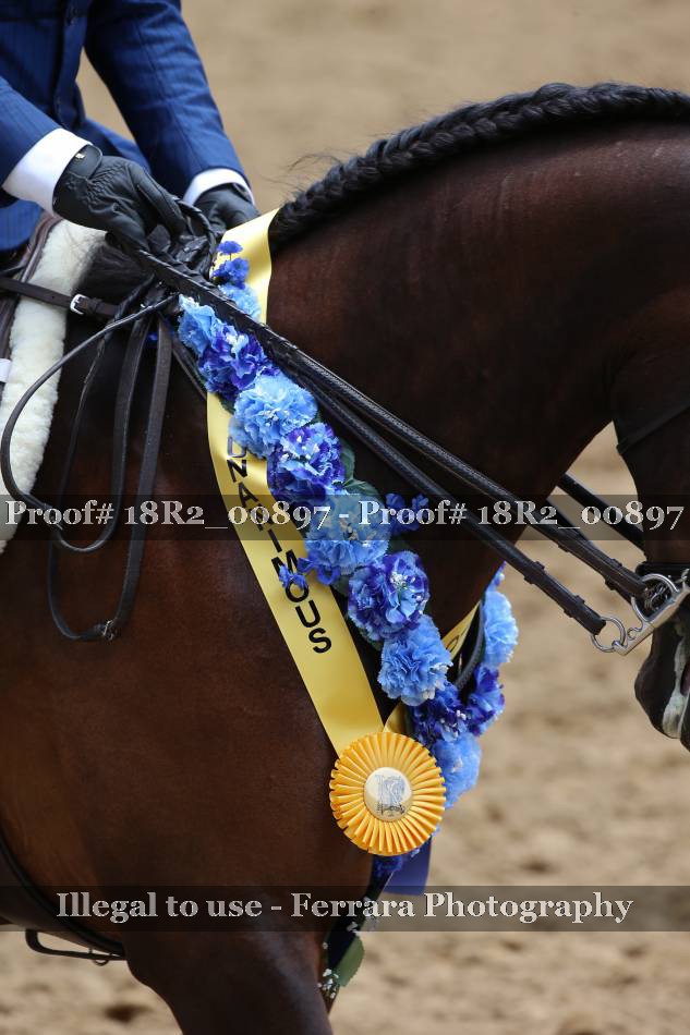 Proof 18R2_00897
